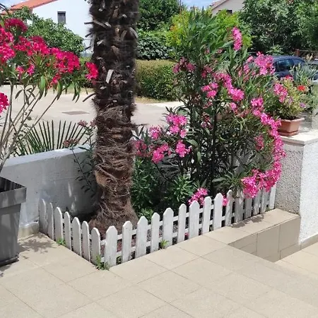 Eli Apartman